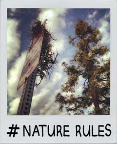 Nature Rules